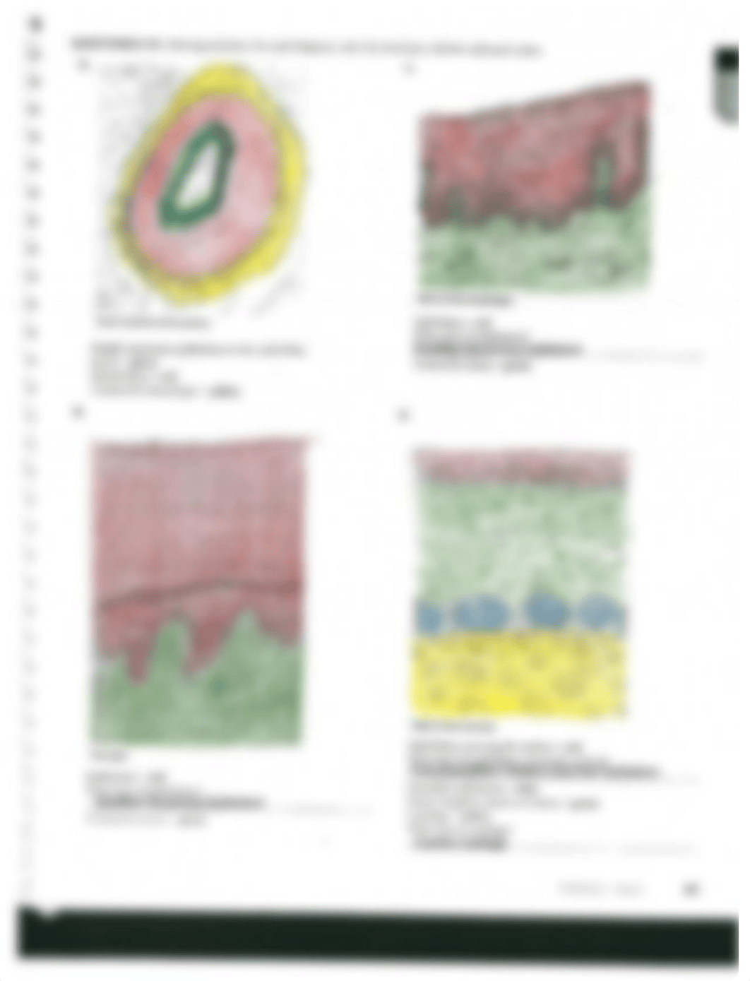 Ex 5 Tissue.pdf_d1k37k9vgsb_page3