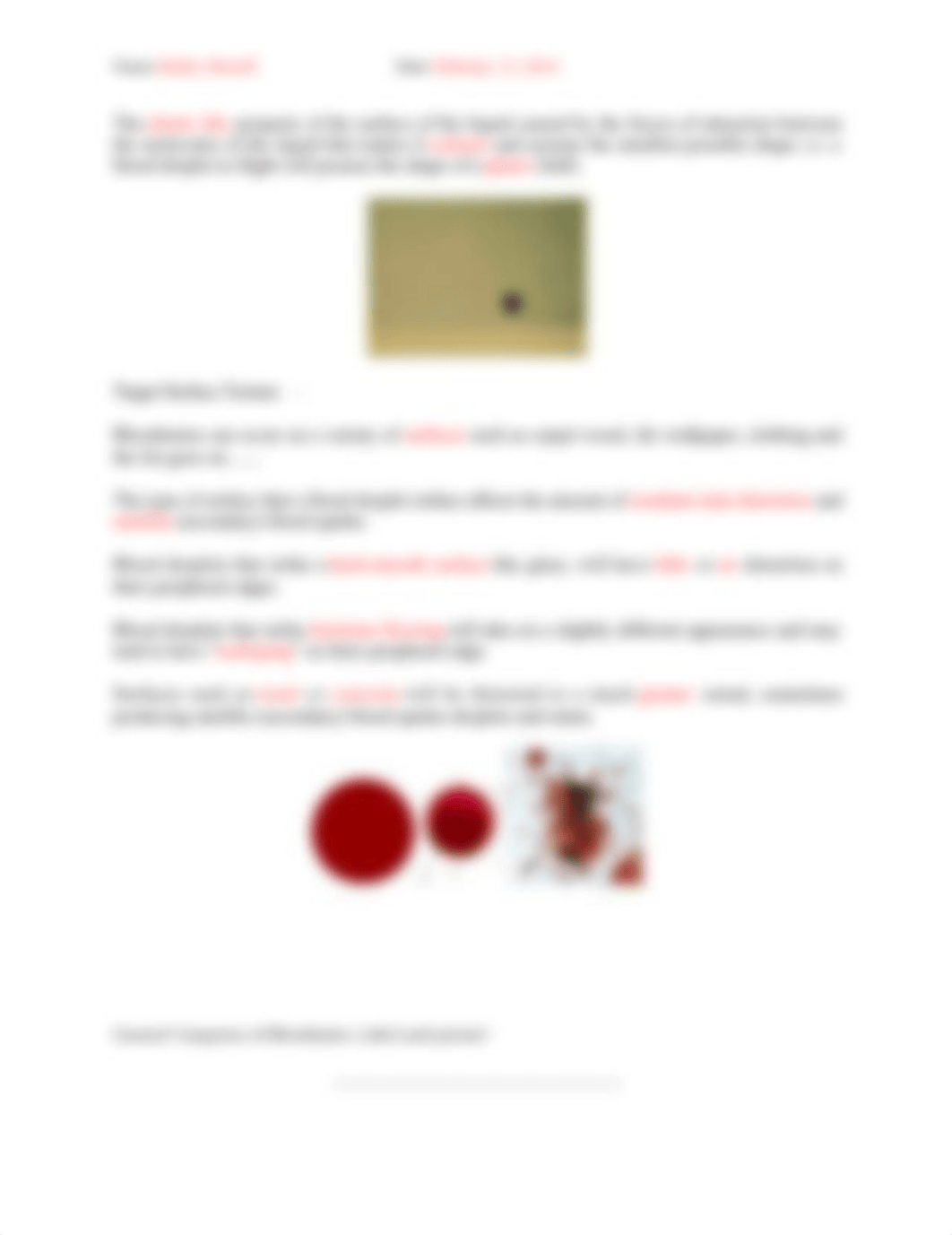 Blood Spatter Tutorial and Case Analysis.docx_d1k7vs1sbxz_page2