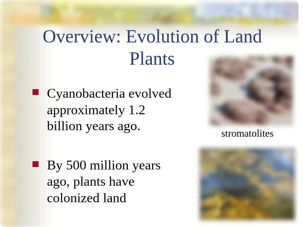 Chapter 29 Plant Diversity I(1)_d1k9cafhcb8_page3