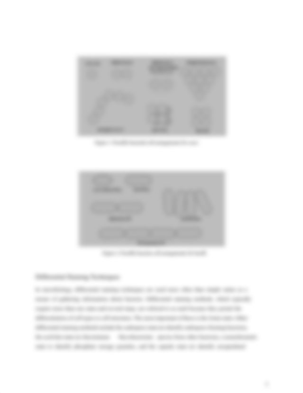 Biol 230 - Differential Staining .pdf_d1kg07mzbqi_page3