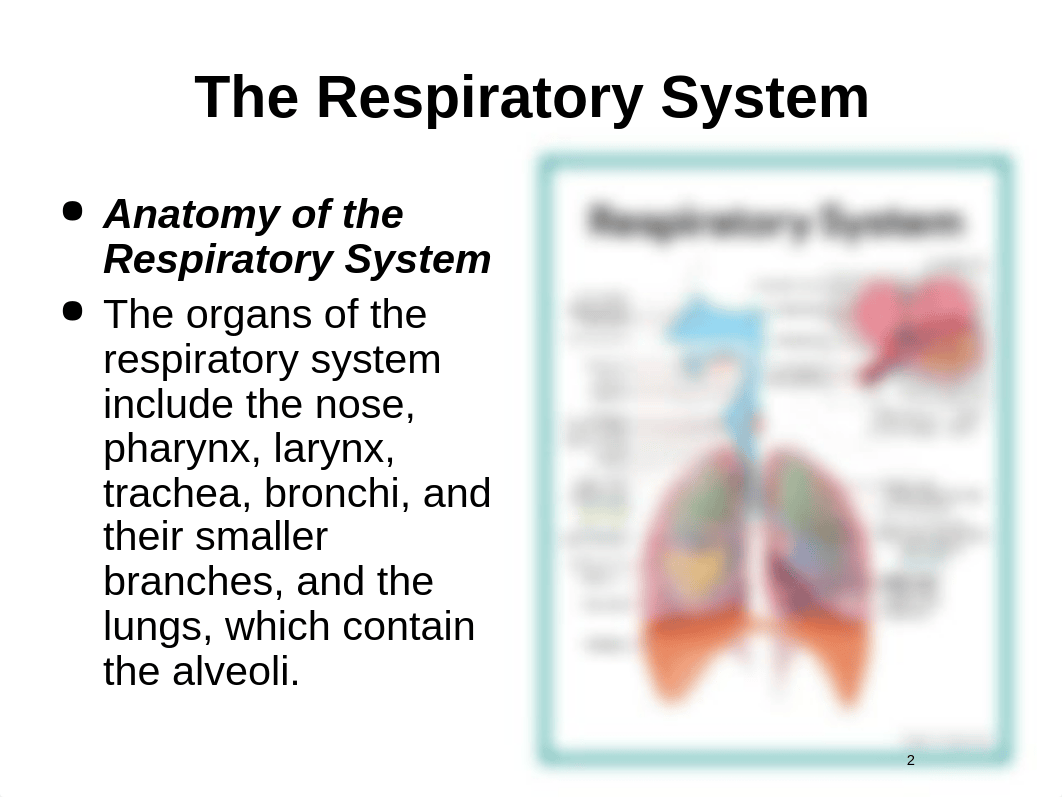 Upper_and_Lower_Respiratory_System.ppt_d1knwwvep33_page2