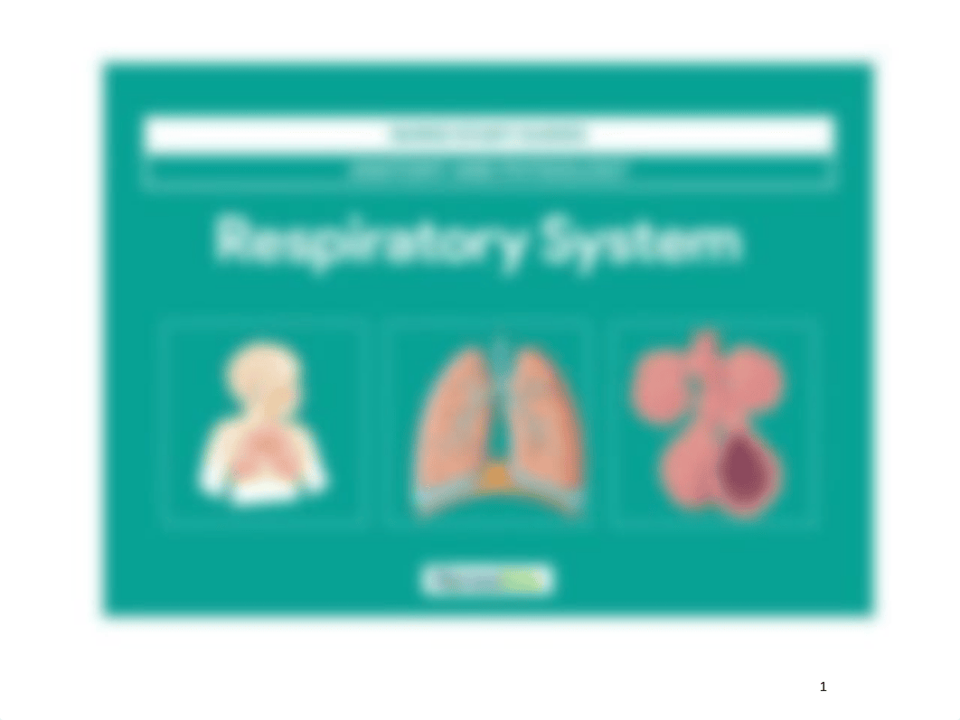 Upper_and_Lower_Respiratory_System.ppt_d1knwwvep33_page1