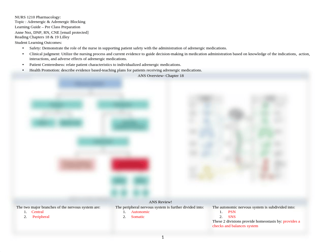 Adrenergics and Adrenergic Blockers Learning Guide 2019.docx_d1ksb9p6r8h_page1