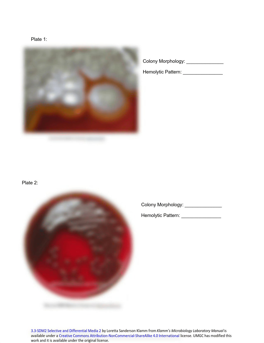 Week 5 - Selective and Differential Media 2 .pdf_d1ksukg86yx_page1