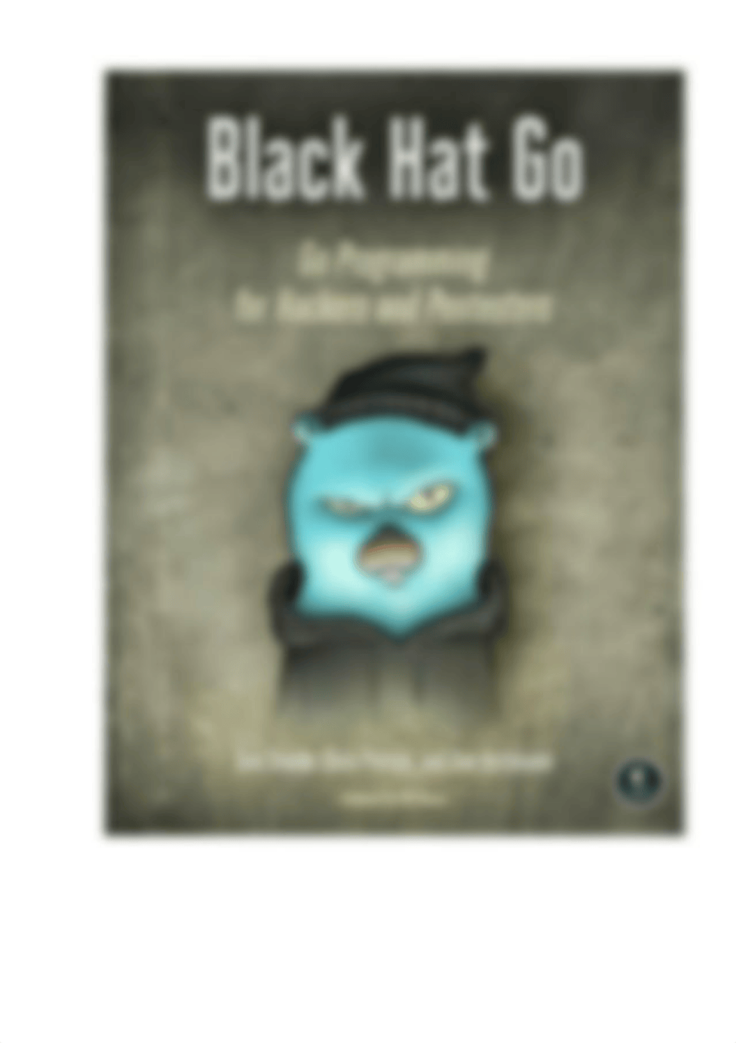 Black Hat Go Go Programming for Hackers and Pentesters by Dan Kottmann (z-lib.org).pdf_d1l797ank3q_page1