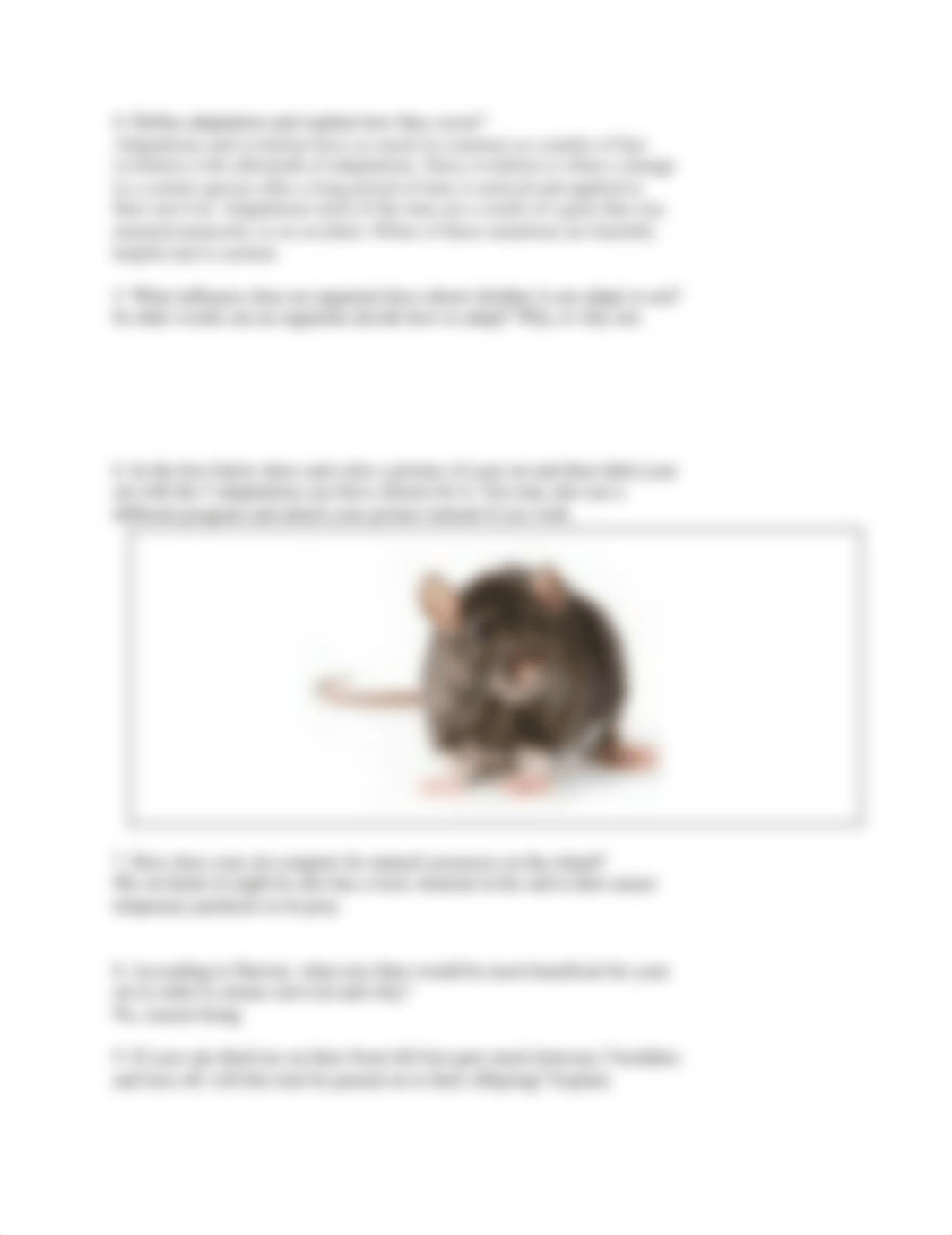 Copy_of_Rat_Island_Activity_d1lr0398gt1_page2