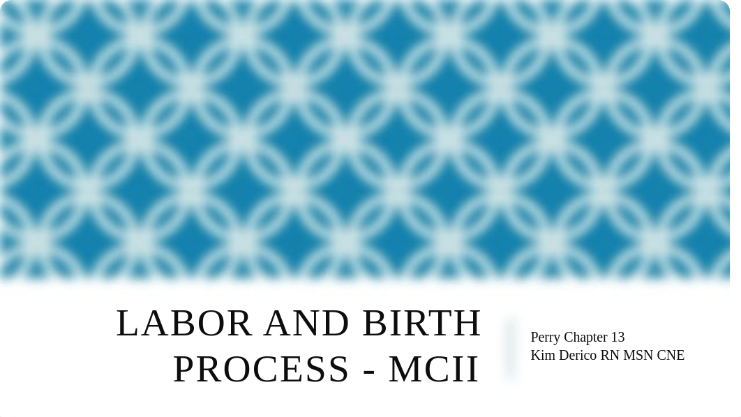 Labor and Birth Process - MCII - Day 1 (1).pptx_d1lti9c9uf6_page1