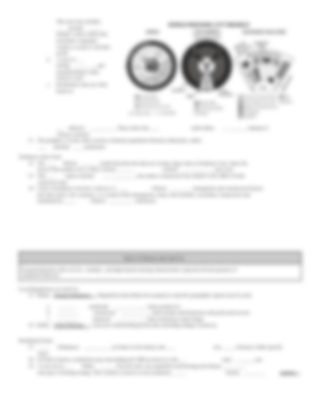 _AMSCO Unit 6 - Ch 16 Reading Guide -Urban Structure.pdf_d1m118i2nyy_page3