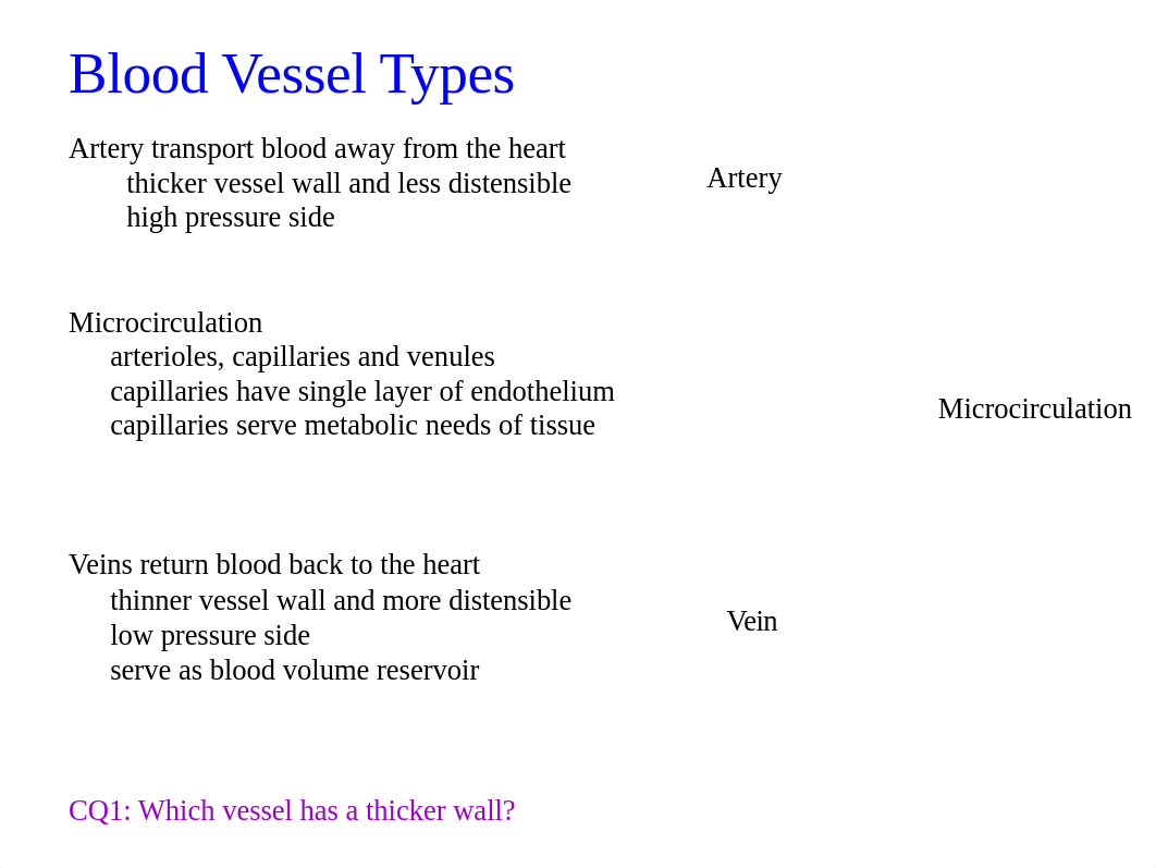 Studen 152 Chap 19 Blood Vessels Part A (2017)_d1m872uki8f_page3