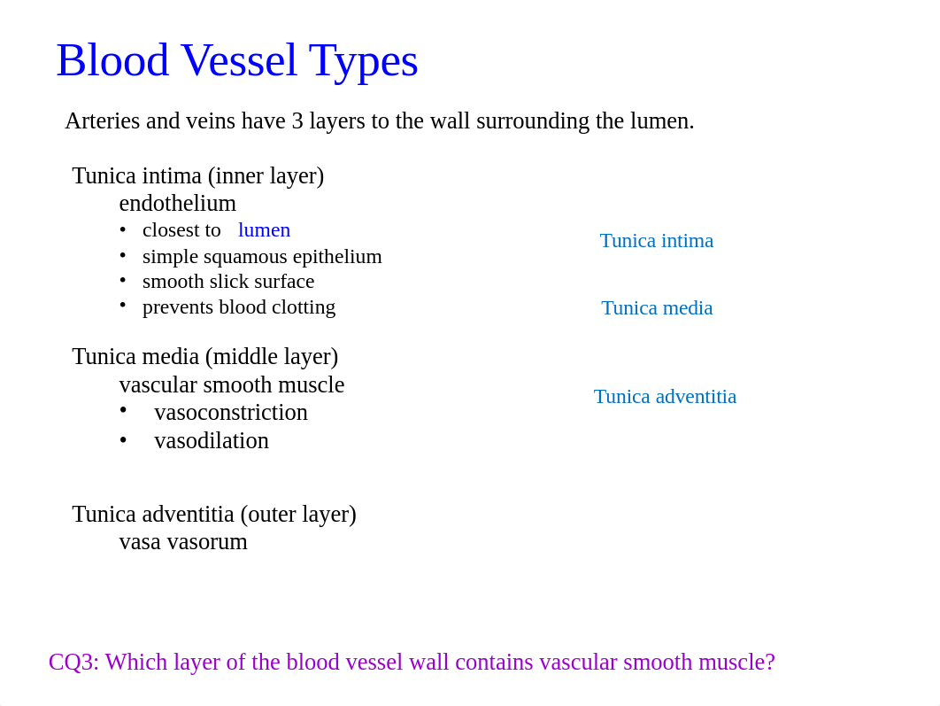 Studen 152 Chap 19 Blood Vessels Part A (2017)_d1m872uki8f_page4