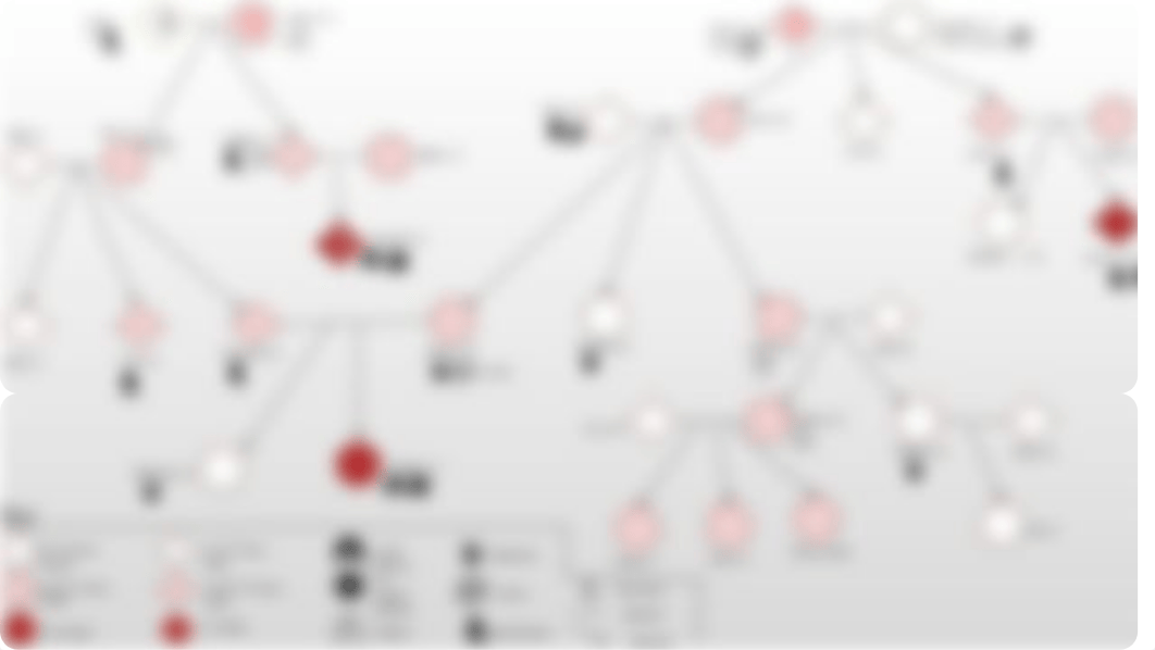 Family Genogram ppt.pptx_d1mafbssn74_page3