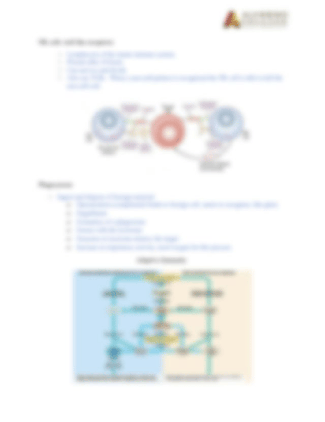 Study Guide Exam 1 immunity.docx_d1mj1ptypqo_page4