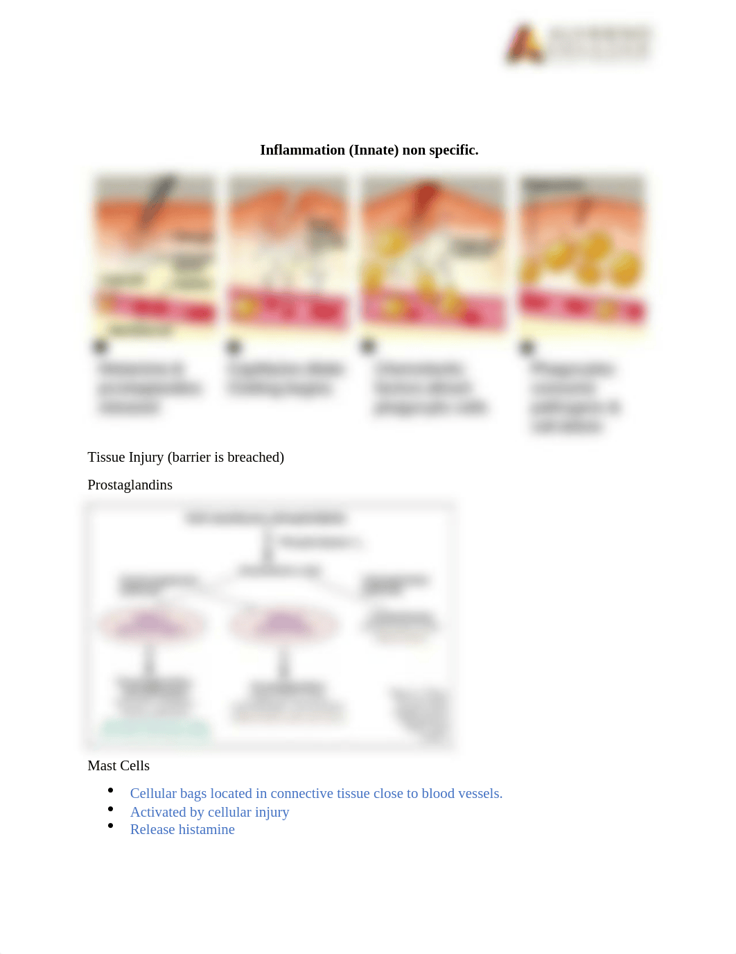 Study Guide Exam 1 immunity.docx_d1mj1ptypqo_page2