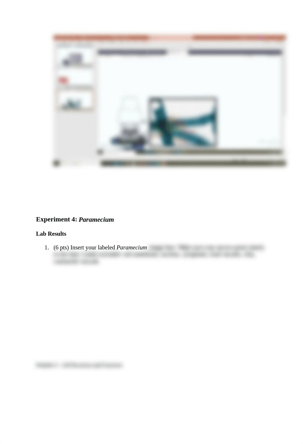 Cell Structure & Function Lab Report-1.docx_d1mkgoyku1j_page3