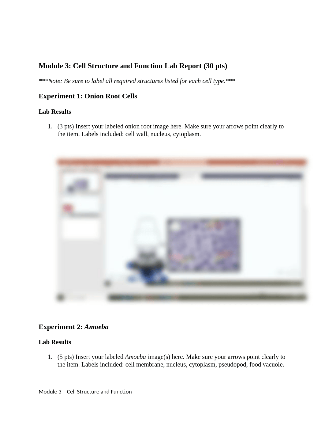 Cell Structure & Function Lab Report-1.docx_d1mkgoyku1j_page1