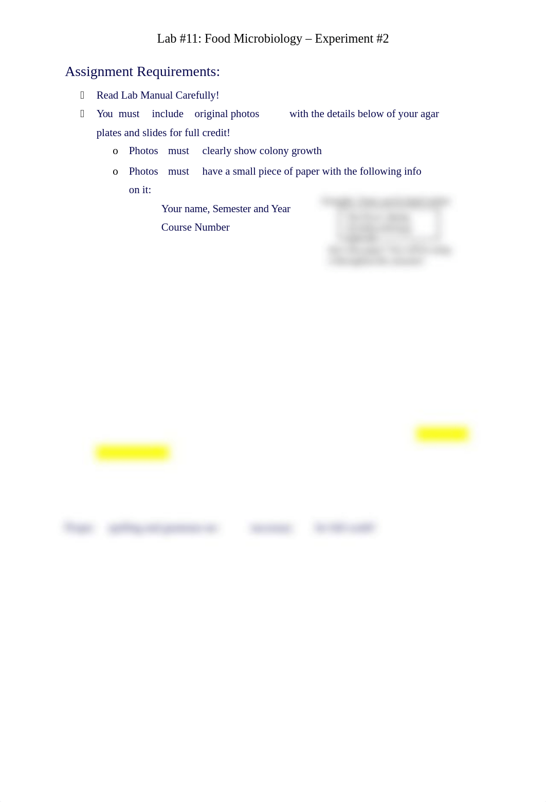 lab 11.docx_d1mkvqpz33r_page1