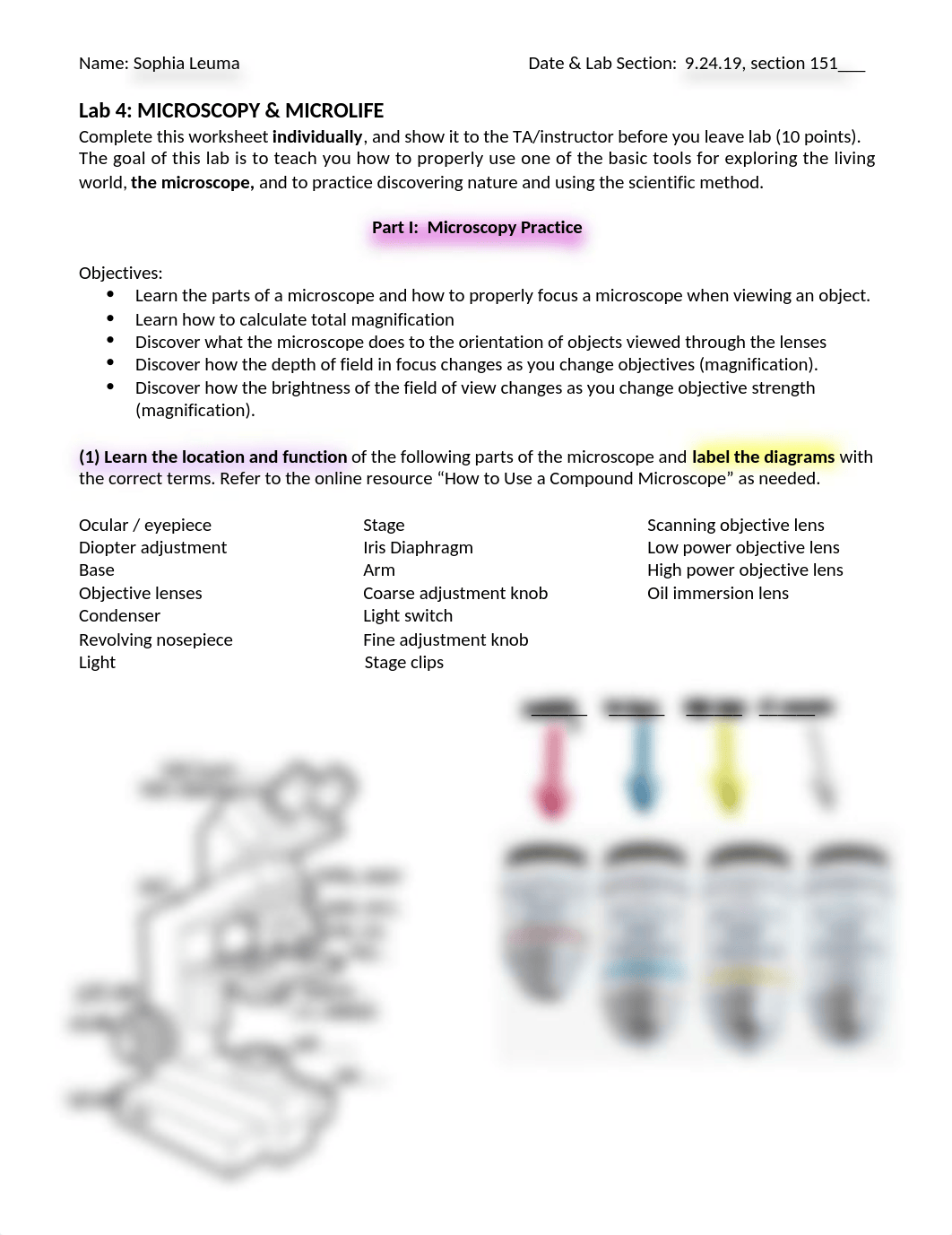 Lab 4 Procedure Microscopy  Microlife Lab BIOL151 AU2019 copy.docx_d1mrqlgftp3_page1