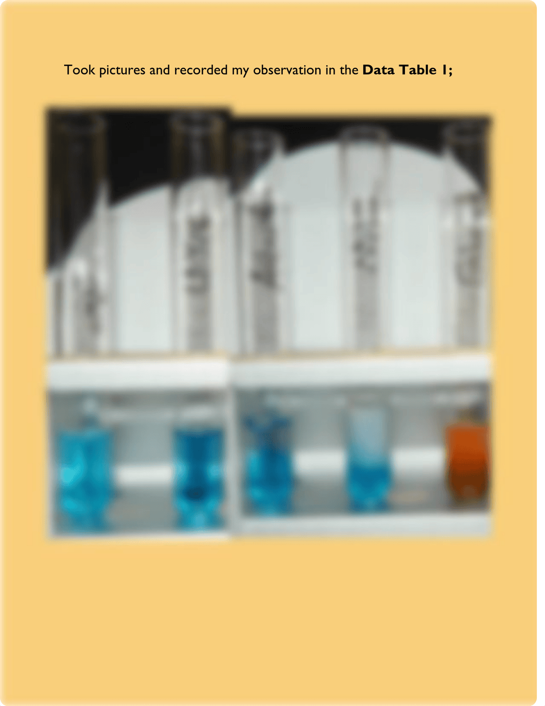 BIOLOGY 101 Q381 - BIOMACROMOLECULES LAB_d1mt06u3oq6_page4