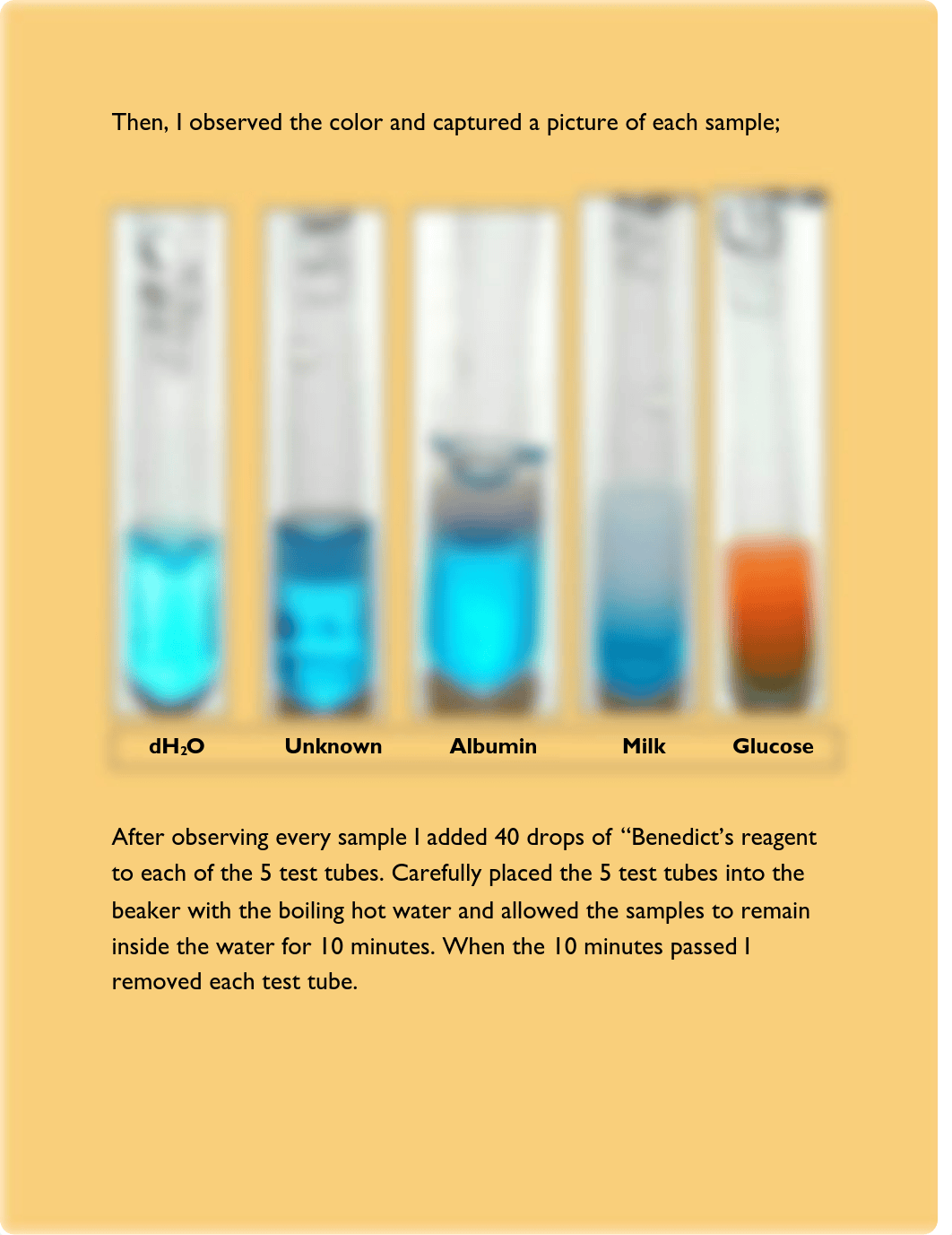 BIOLOGY 101 Q381 - BIOMACROMOLECULES LAB_d1mt06u3oq6_page3