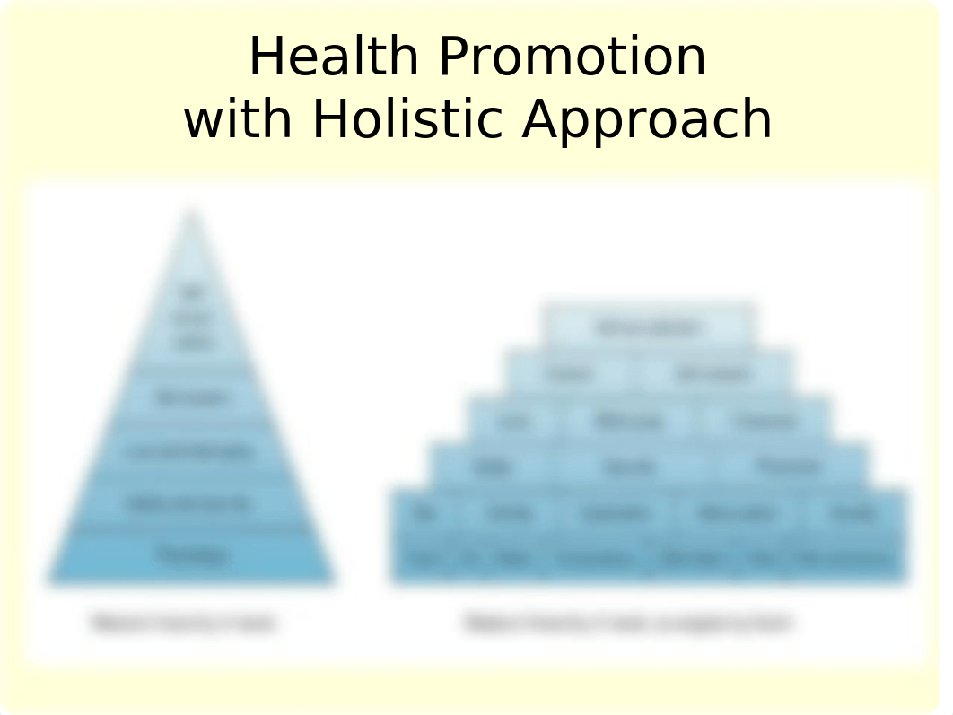 Holism, Caring and Cultural Diversity in Nursing student version2015.ppt_d1mvyhr3xbr_page4