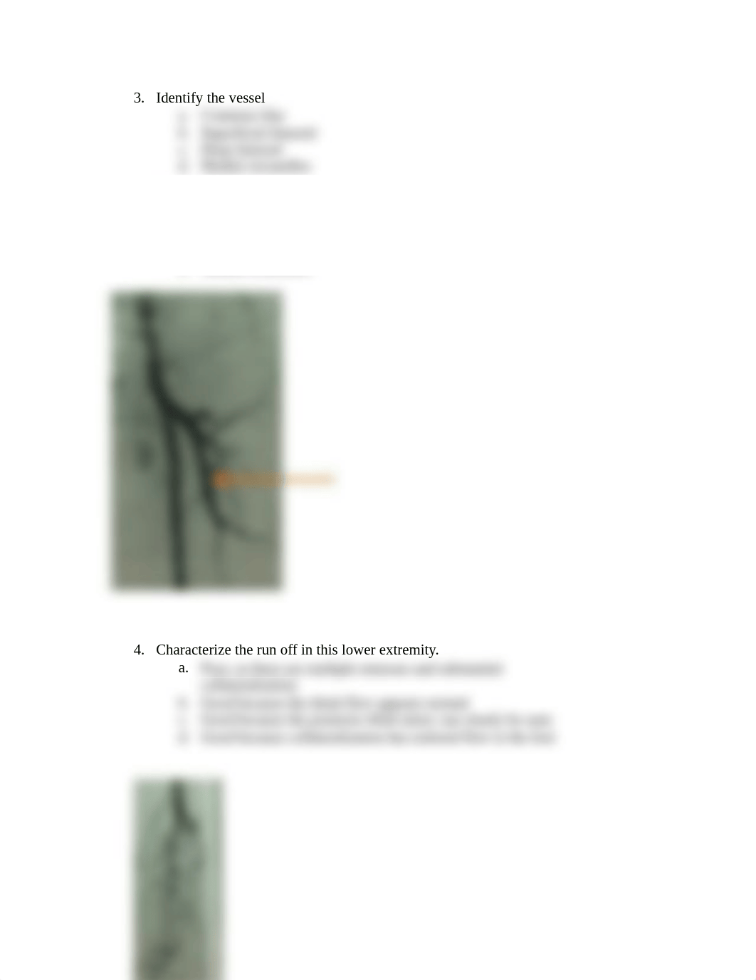 Radiology I Quiz-Arteriography_d1mxwa5044q_page2