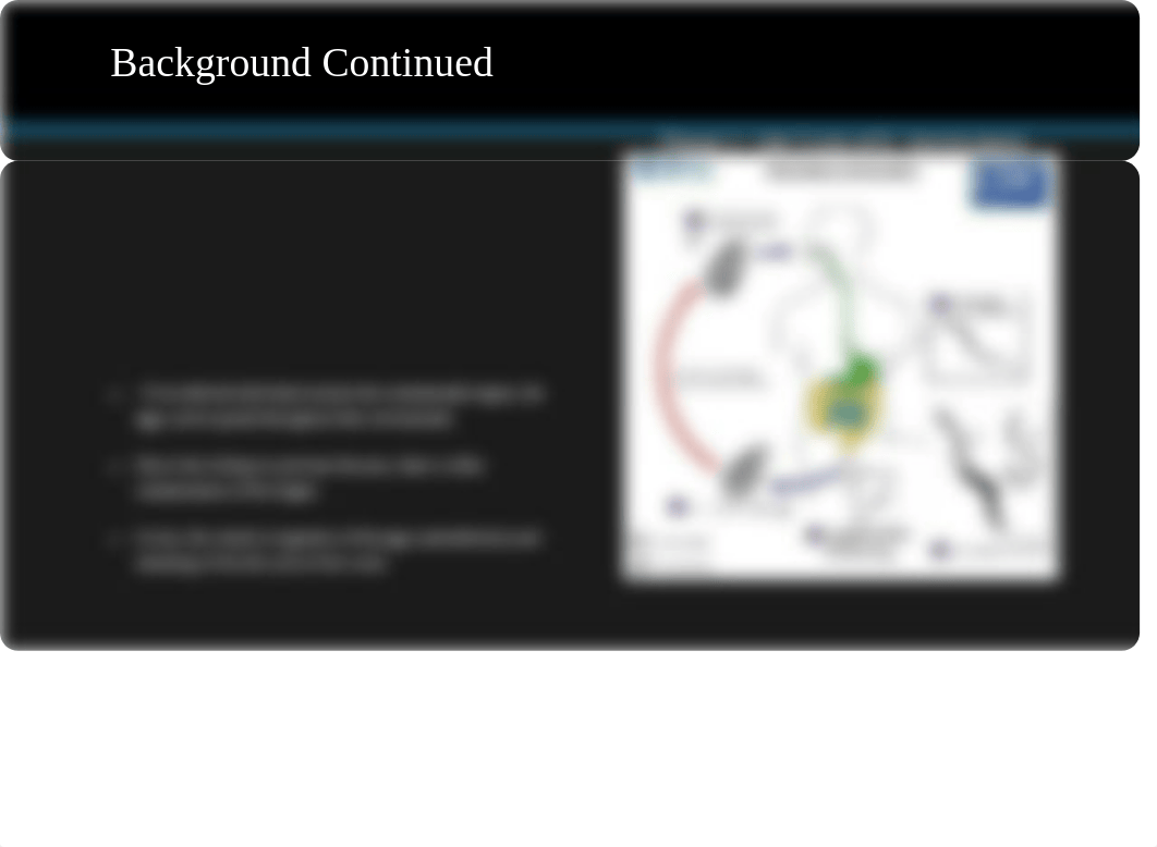 Pinworms, daycare and the life-cycle of helmiths.pptx_d1n10qxez8e_page4