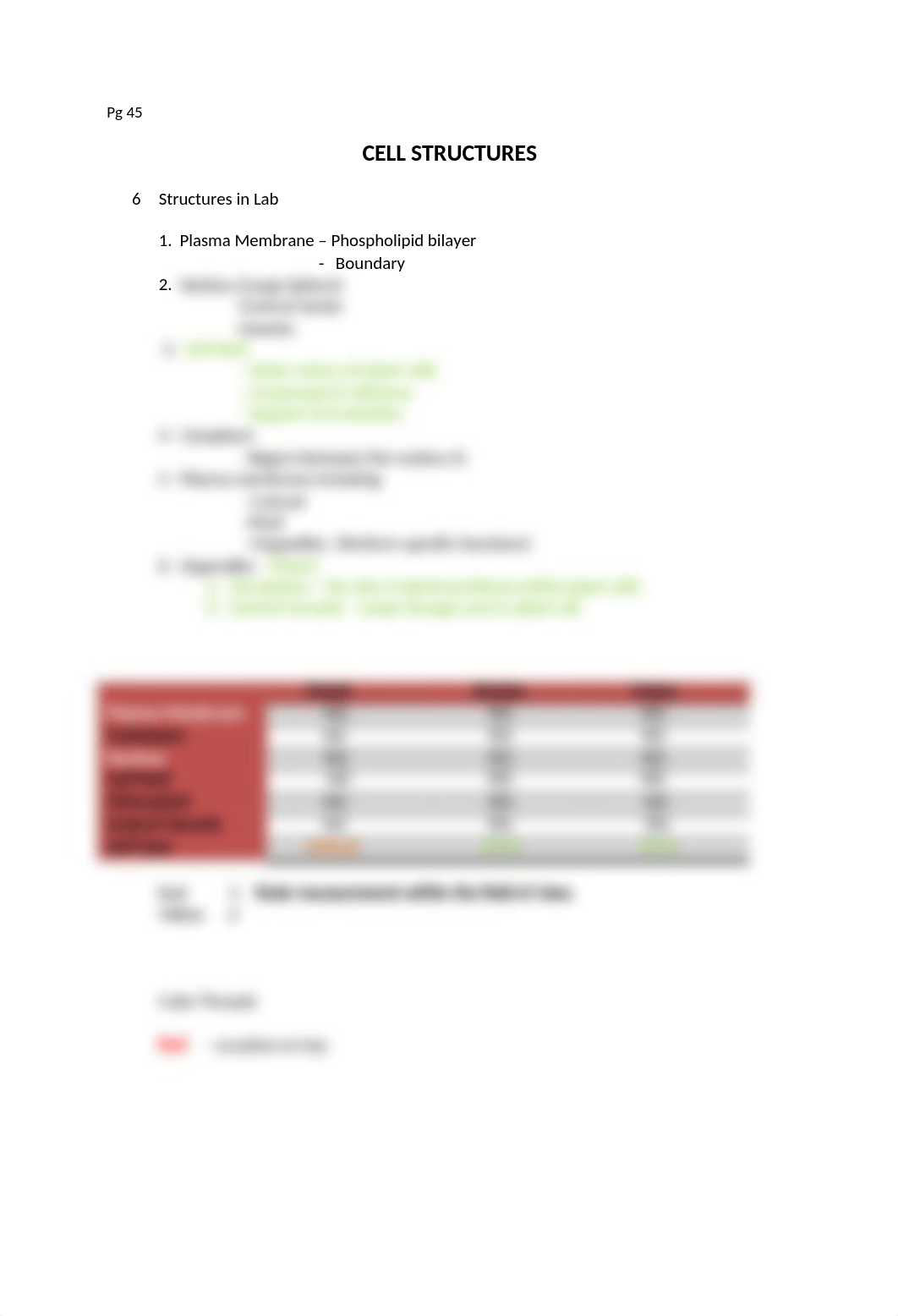 BIBIO 111 LAB NOTES   Microscope Test_d1na4pphvps_page2