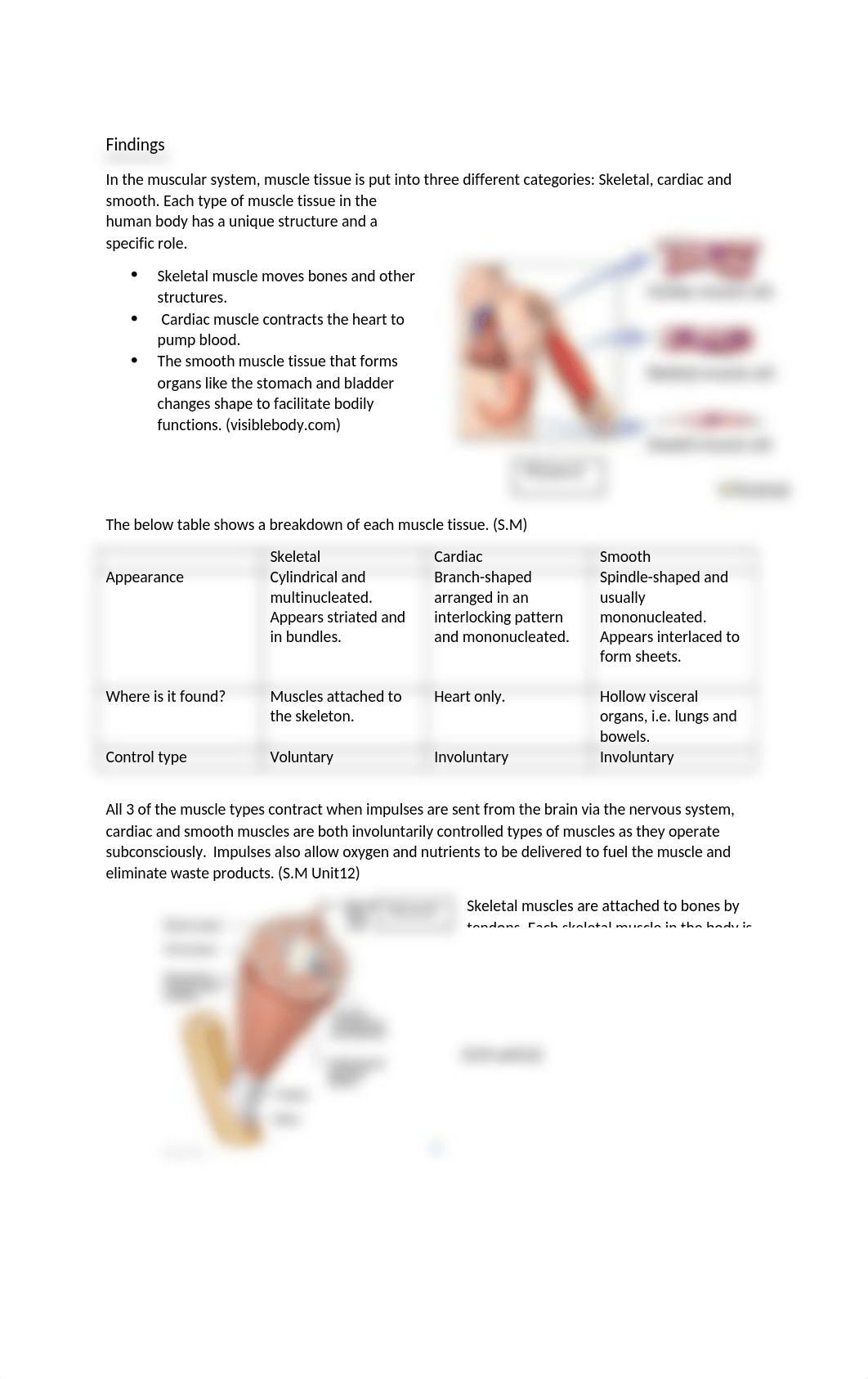 Unit 12.docx_d1ndu2uhlim_page3