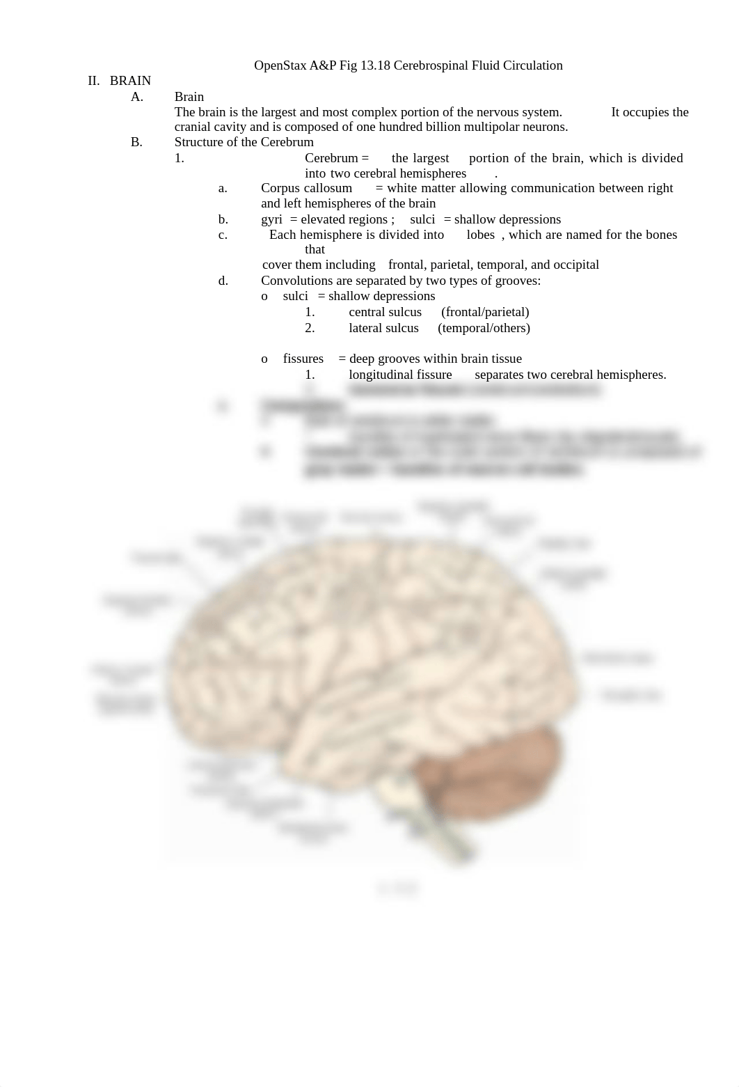 AP1-Lab11-Brain-and-Cranial-Nerves-FA2021(2).docx_d1nfhz70ym8_page3