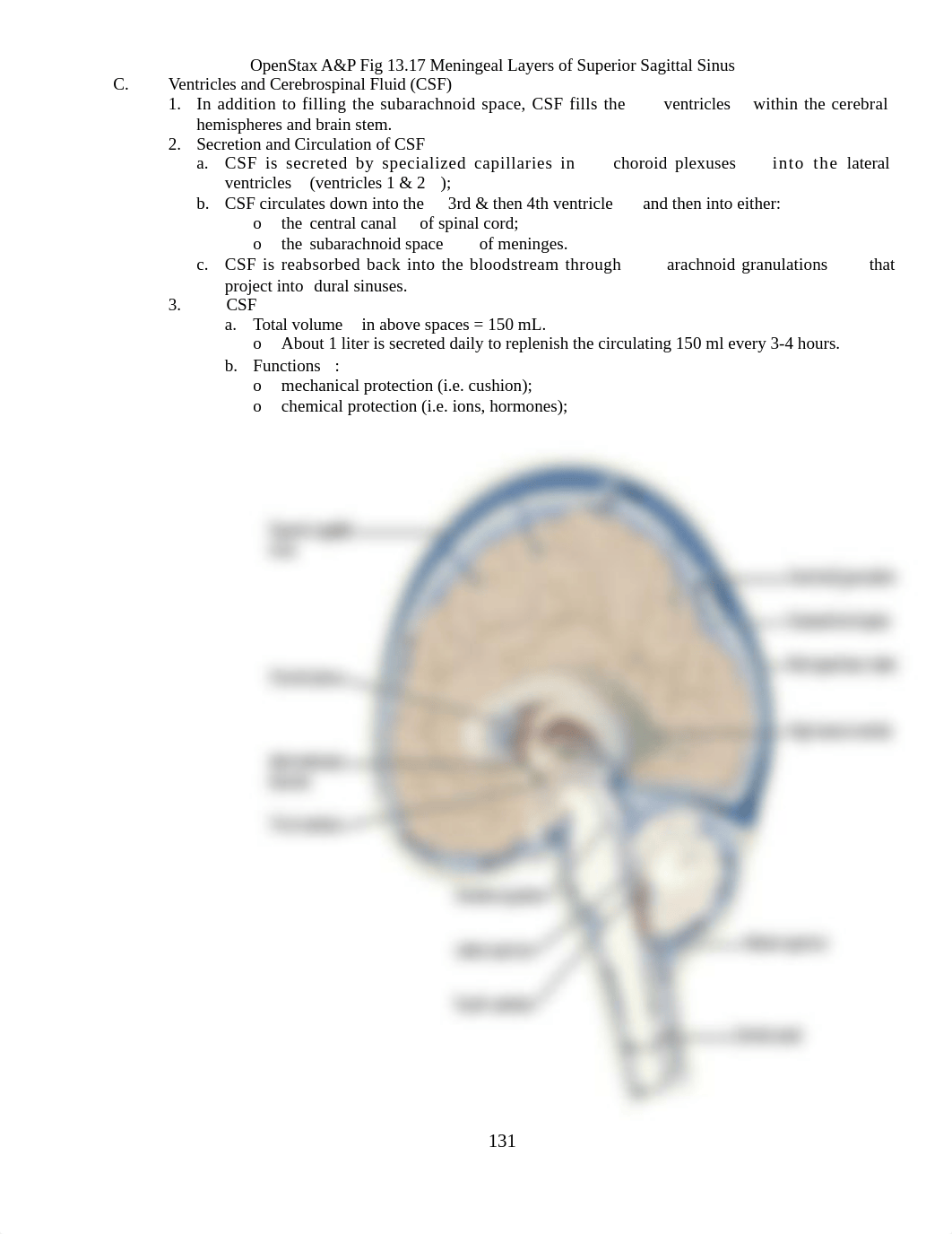 AP1-Lab11-Brain-and-Cranial-Nerves-FA2021(2).docx_d1nfhz70ym8_page2