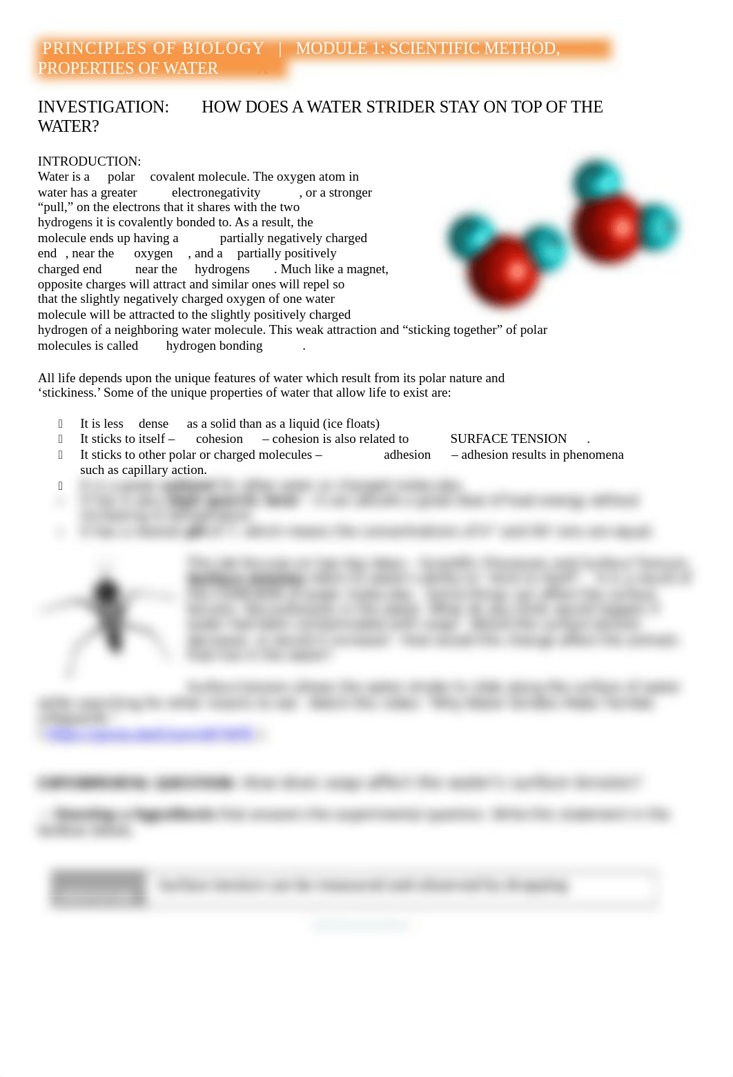 BIOLOGY PENNY EXPERIMENT.docx_d1ni1fiiedh_page1