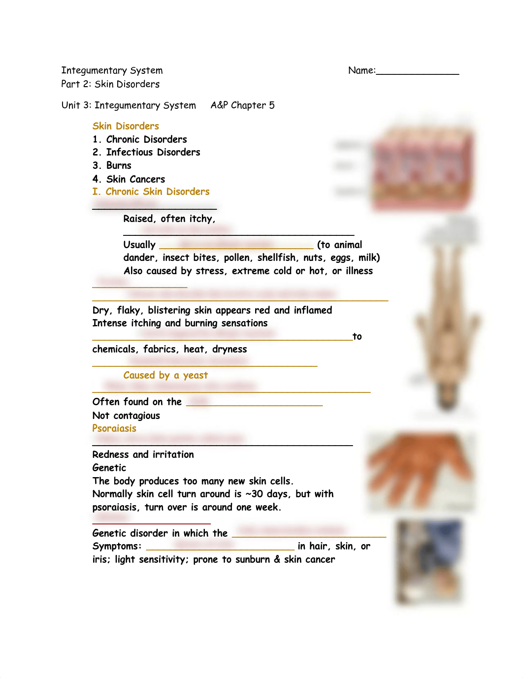 Kami Export - Keshaunana Harris - Integumentary System pt2 fill-in.docx.pdf_d1nkpva4q5u_page1