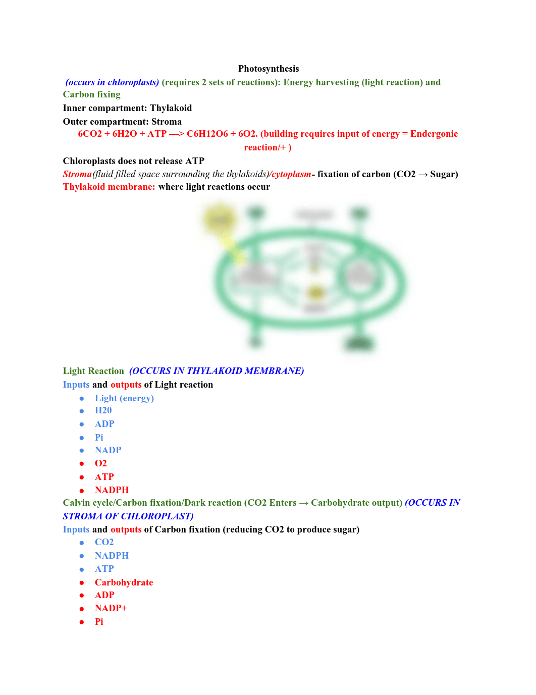 FINAL STUDYGUIDE- exam #5 BIO190 (1).pdf_d1nnx1o3zqa_page1