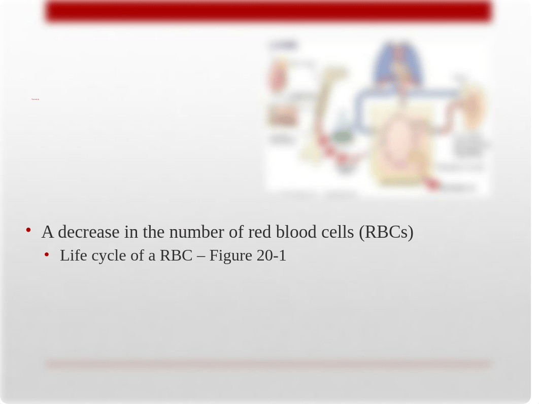 Chapter 20 Student(7) (1).pptx_d1no7s4fwby_page3