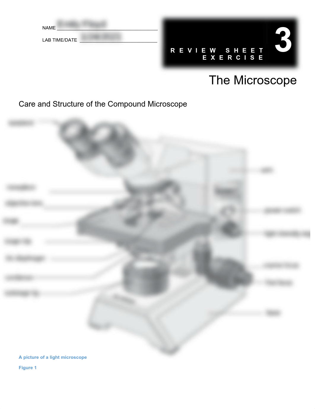 Lab 2- The Microcscope.pdf_d1nsj2gw5c8_page1