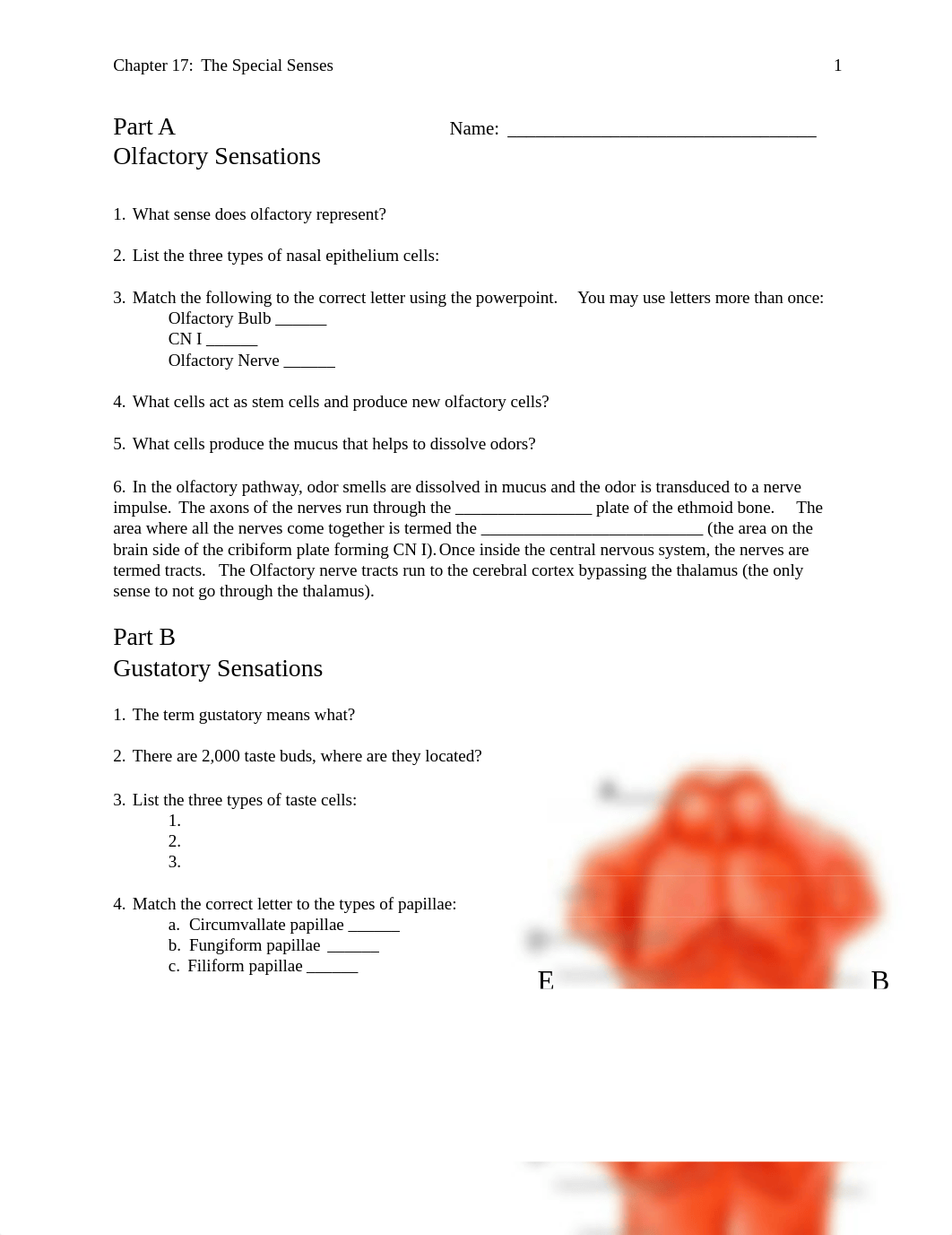 BIO2514_CH17_Lab (2).docx_d1nxbkqllpe_page1