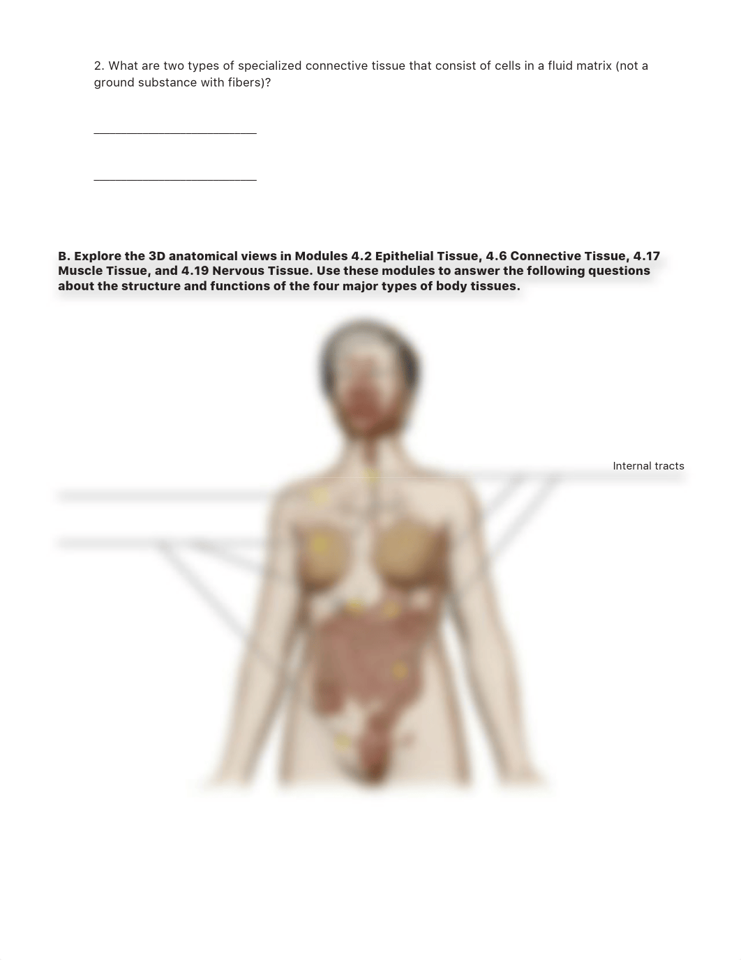 Bio 1161 Lab Tissues Assignment.pdf_d1o172v4upq_page4