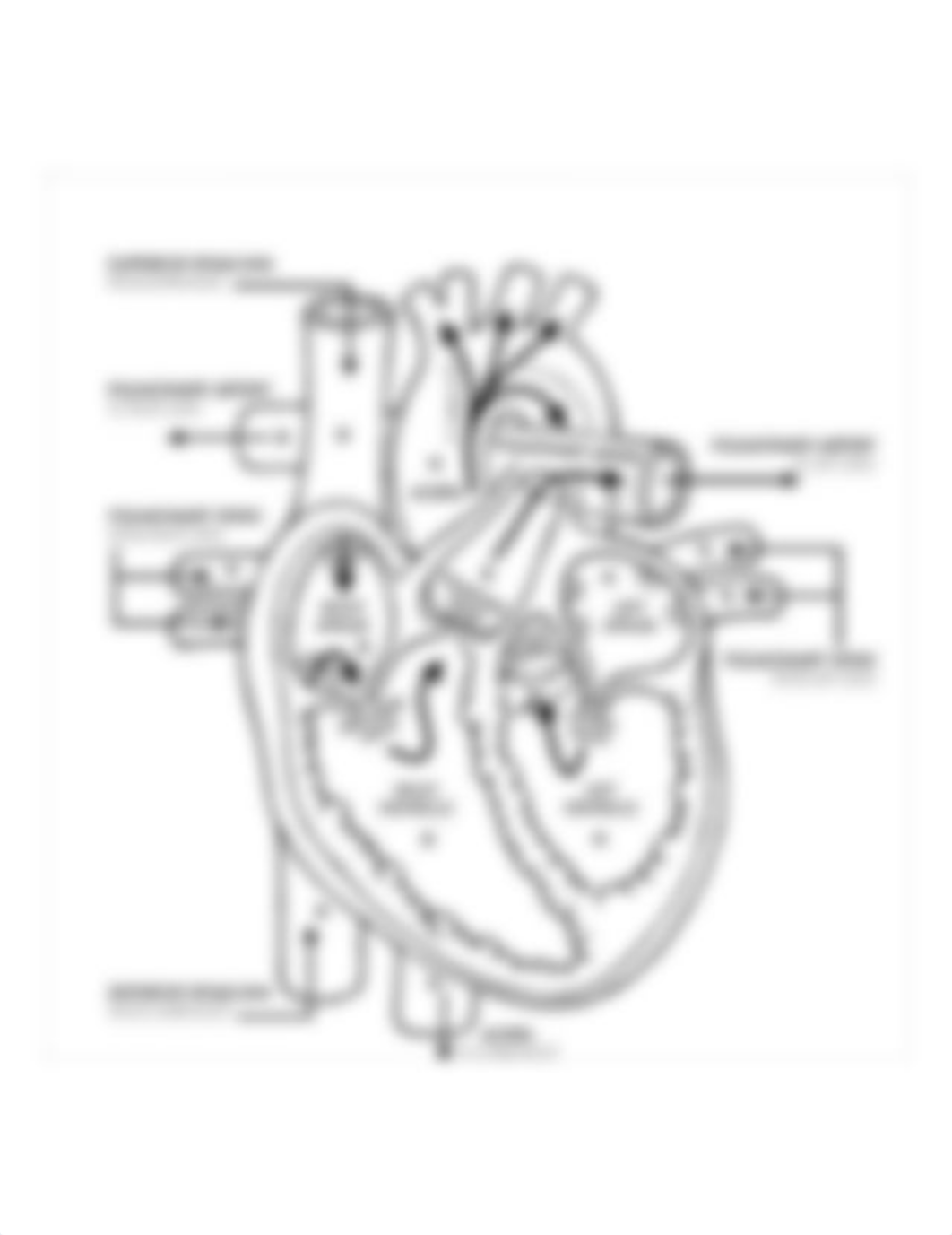 Heart-System-Template.jpg_d1ohkc8udji_page1