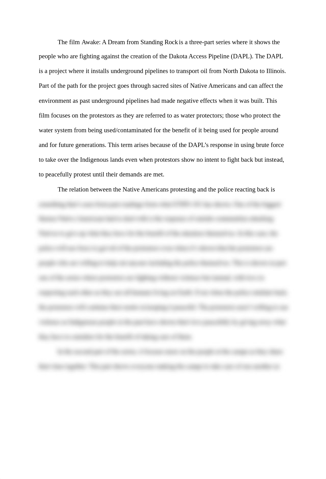 ETHN-101 Final Reflection.docx_d1ol5kmetpq_page1