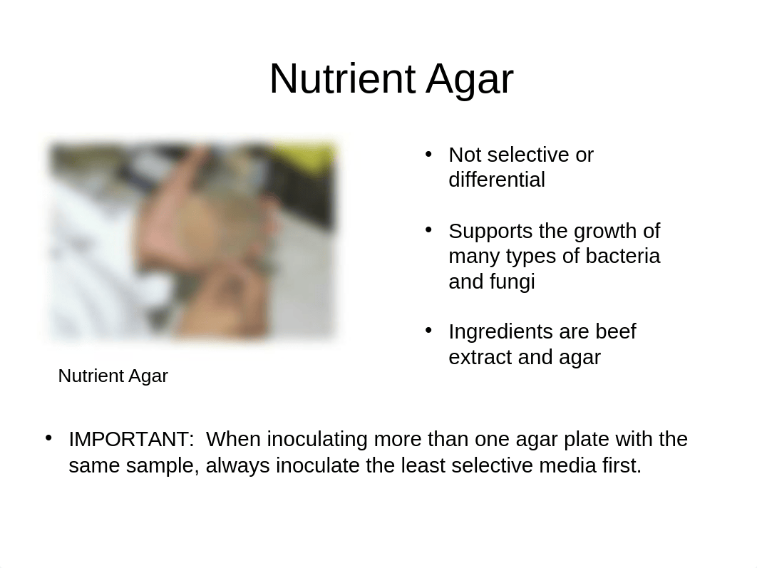 Agar Plate Media.ppt_d1ouk558kwm_page2