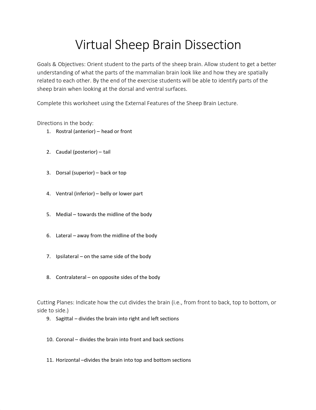 Virtual Sheep Brain Dissection key.pdf_d1ozxwm38ci_page1