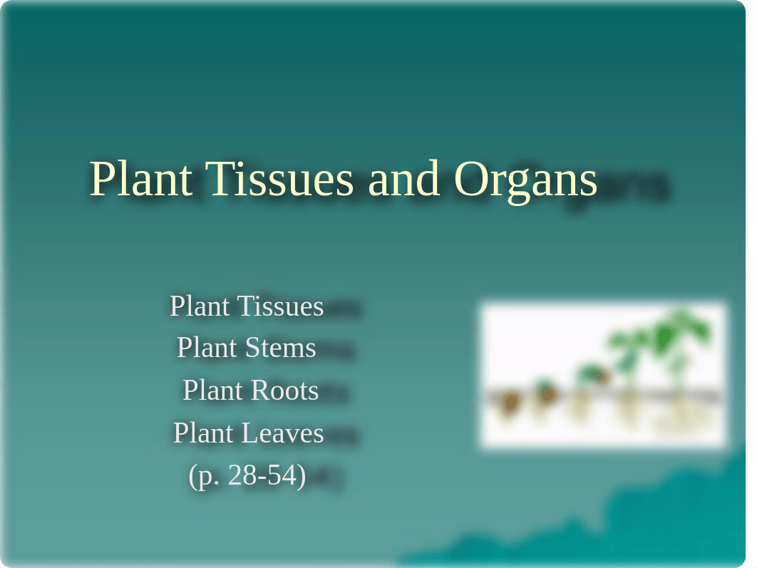 Plant Tissue and Organs - Lecture Material_d1p733l50iz_page1