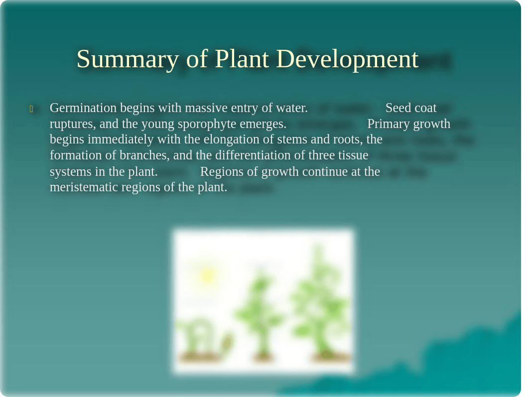 Plant Tissue and Organs - Lecture Material_d1p733l50iz_page3