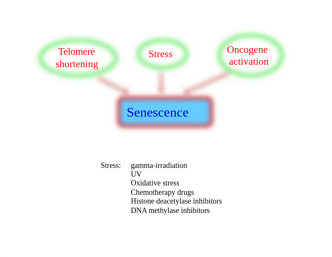 Lecture 13_d1pk5b7khg0_page2