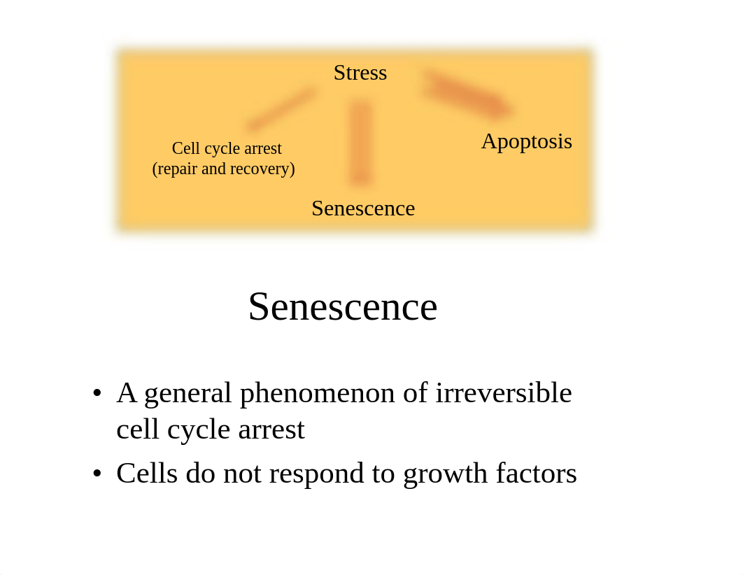 Lecture 13_d1pk5b7khg0_page3