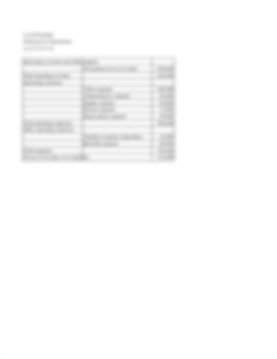 Chapter 9 Balance Sheet & Statement of Operations.xlsx_d1ppahxujjk_page4