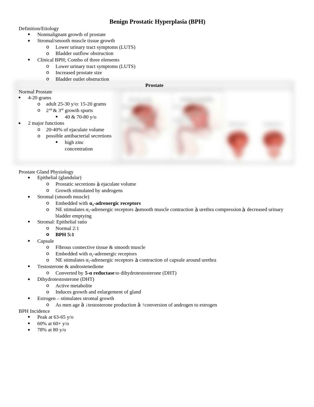 Benign Prostatic Hyperplasia.docx_d1pxlt0176k_page1