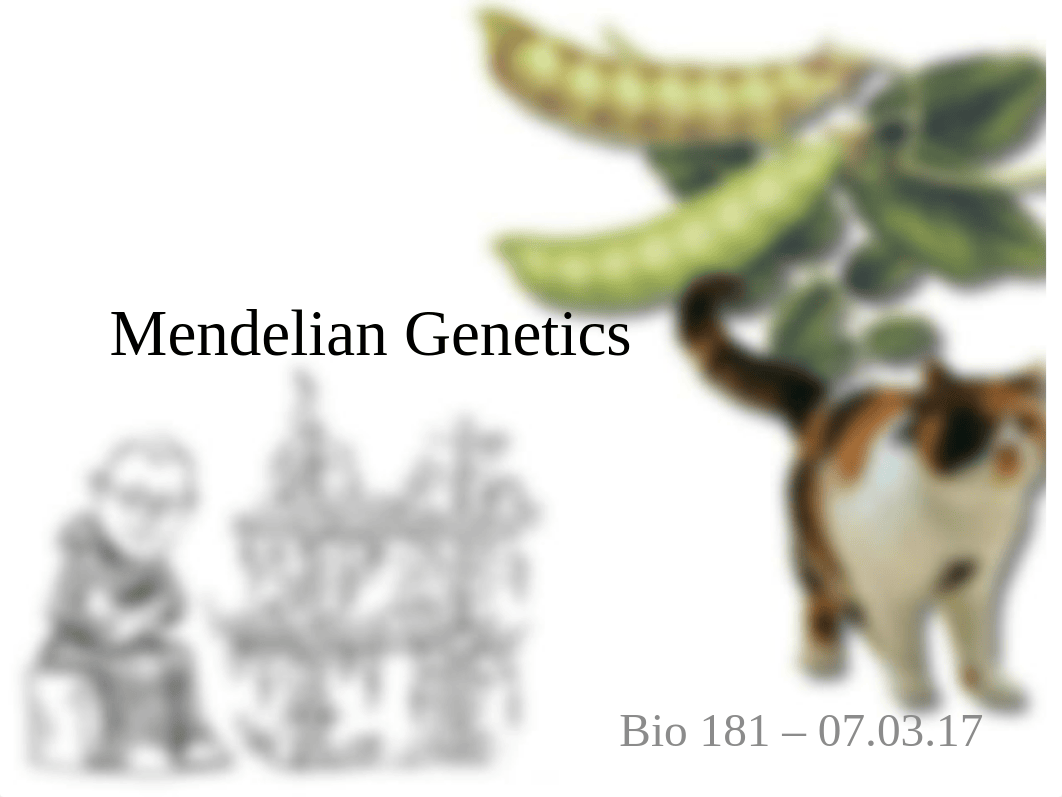 07.03.17 Mendelian Genetics.pptx_d1py0fpqyo7_page1