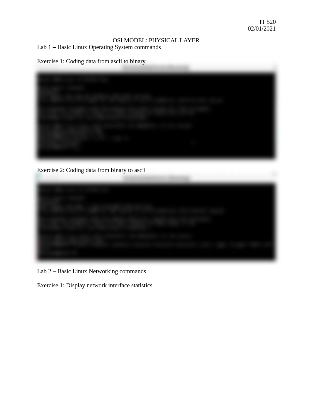 Lab - Physical Layer.docx_d1q3lfn58tp_page1