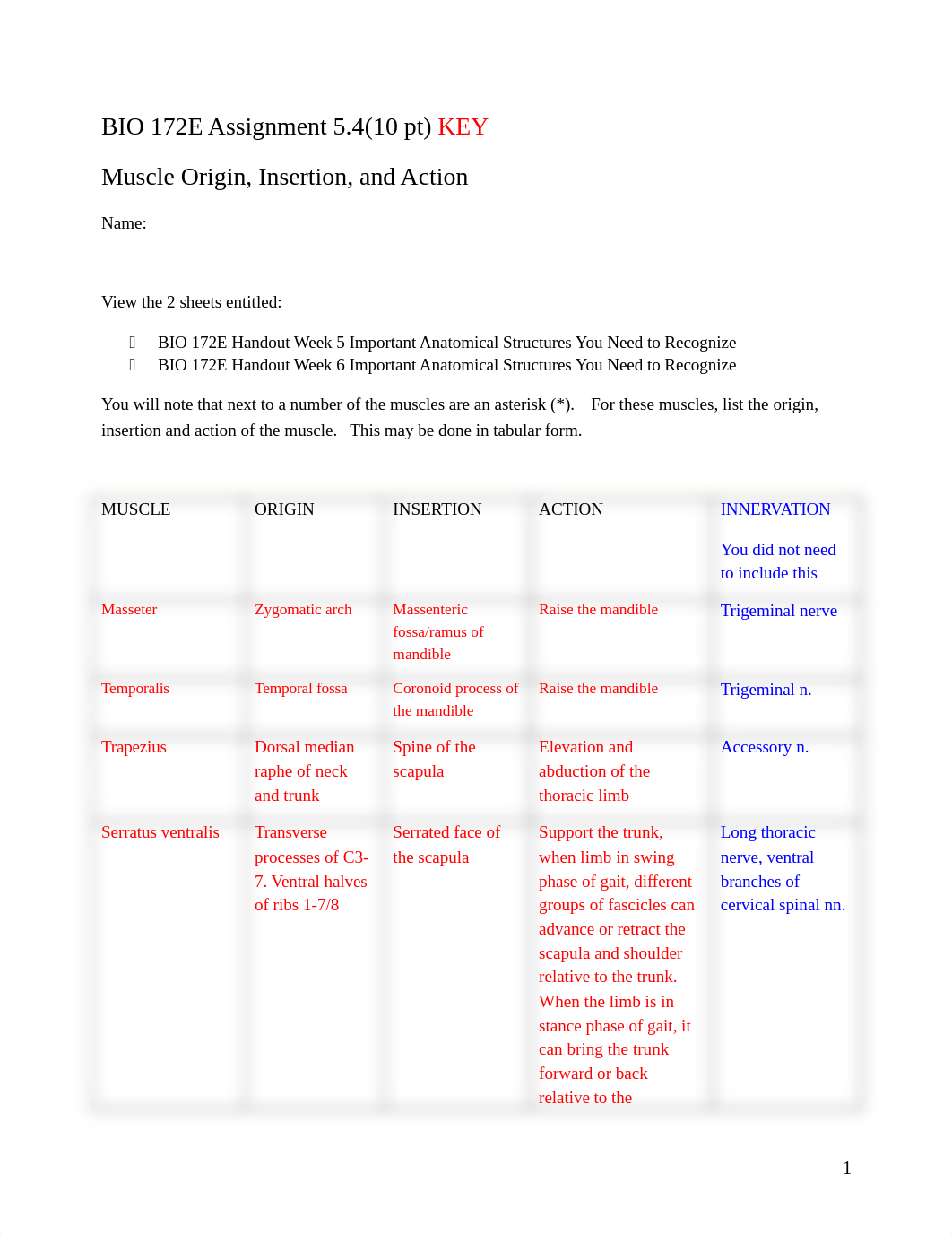 ASSN 5.4 Muscle Origin Insertion Action KEY.docx_d1q6h0c0syj_page1